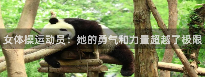 急速体育首页：女体操运动员：她的勇气和力量超越了极限