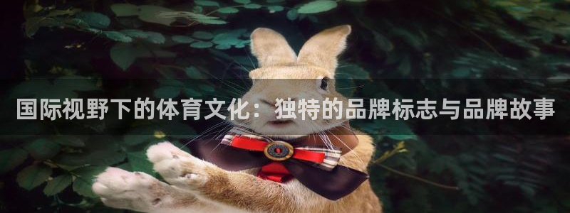 急速体育：国际视野下的体育文化：独特的品牌标志与品牌故事