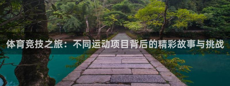 急速体育nba直播在线观看：体育竞技之旅：不同运动项目背后的精彩故事与挑战