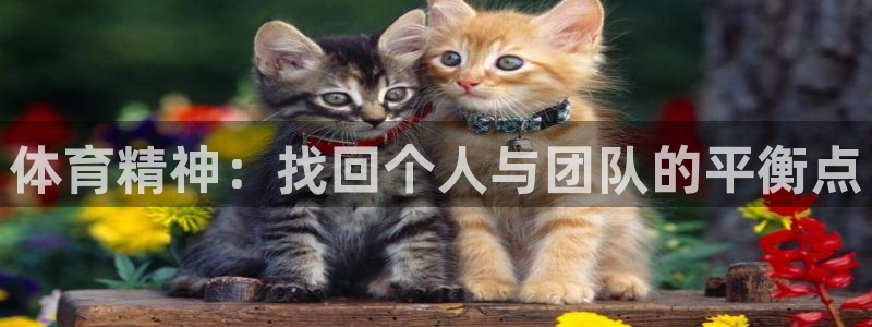 关键词：体育精神：找回个人与团队的平衡点