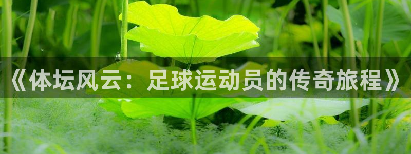急速体育首页：《体坛风云：足球运动员的传奇旅程》
