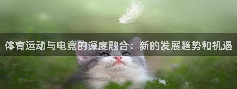 急速体育直播nba：体育运动与电竞的深度融合：新的发展趋势和机遇