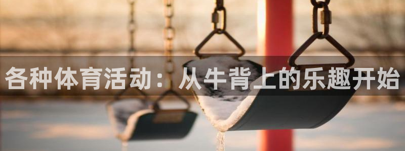 急速体育直播nba：各种体育活动：从牛背上的乐趣开始