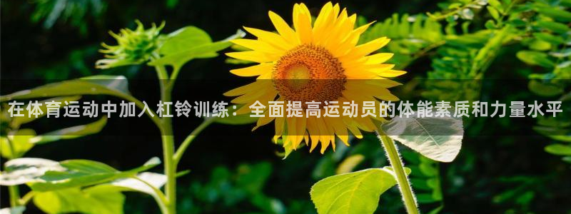 急速体育nba：在体育运动中加入杠铃训练：全面提高运动员的体能素质和力量水平