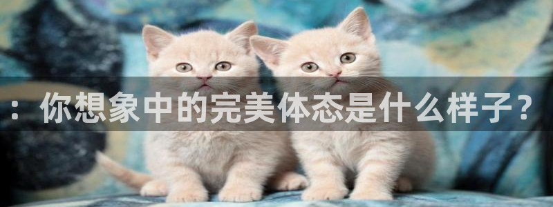 关键词：：你想象中的完美体态是什么样子？